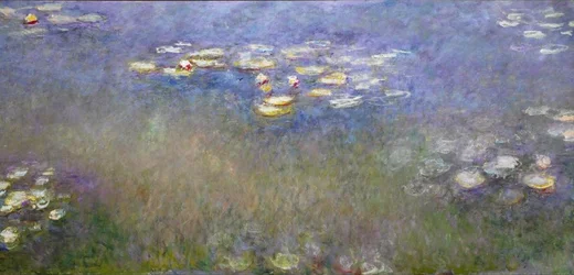 Water Lilies